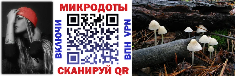 Галлюциногенные грибы Psilocybine cubensis  Терек 